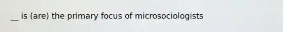 __ is (are) the primary focus of microsociologists