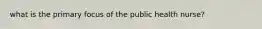 what is the primary focus of the public health nurse?