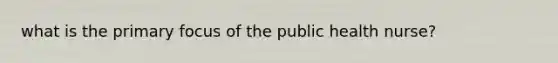 what is the primary focus of the public health nurse?