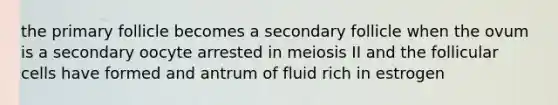 the primary follicle becomes a secondary follicle when the ovum is a secondary oocyte arrested in meiosis II and the follicular cells have formed and antrum of fluid rich in estrogen