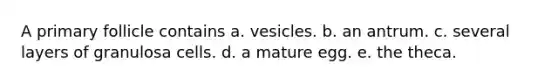 A primary follicle contains a. vesicles. b. an antrum. c. several layers of granulosa cells. d. a mature egg. e. the theca.