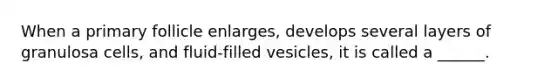 When a primary follicle enlarges, develops several layers of granulosa cells, and fluid-filled vesicles, it is called a ______.