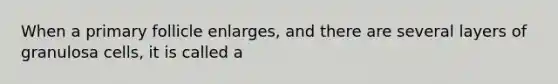 When a primary follicle enlarges, and there are several layers of granulosa cells, it is called a