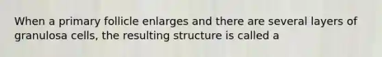 When a primary follicle enlarges and there are several layers of granulosa cells, the resulting structure is called a