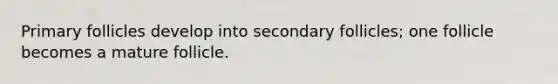 Primary follicles develop into secondary follicles; one follicle becomes a mature follicle.