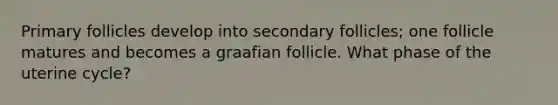 Primary follicles develop into secondary follicles; one follicle matures and becomes a graafian follicle. What phase of the uterine cycle?