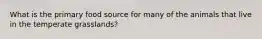 What is the primary food source for many of the animals that live in the temperate grasslands?