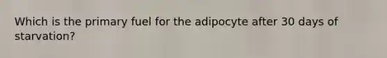 Which is the primary fuel for the adipocyte after 30 days of starvation?