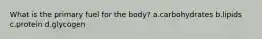 What is the primary fuel for the body? a.carbohydrates b.lipids c.protein d.glycogen