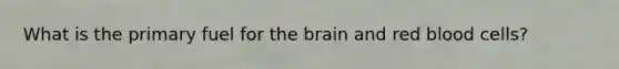 What is the primary fuel for the brain and red blood cells?