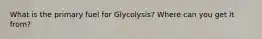 What is the primary fuel for Glycolysis? Where can you get it from?