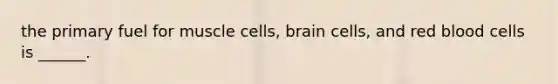 the primary fuel for muscle cells, brain cells, and red blood cells is ______.