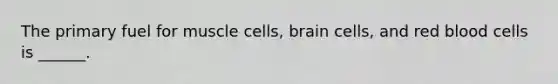 The primary fuel for muscle cells, brain cells, and red blood cells is ______.