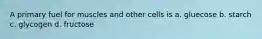 A primary fuel for muscles and other cells is a. gluecose b. starch c. glycogen d. fructose