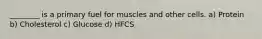 ________ is a primary fuel for muscles and other cells. a) Protein b) Cholesterol c) Glucose d) HFCS