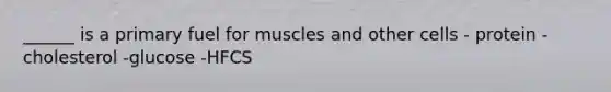 ______ is a primary fuel for muscles and other cells - protein - cholesterol -glucose -HFCS