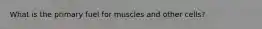 What is the primary fuel for muscles and other cells?