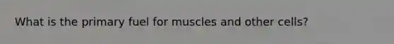 What is the primary fuel for muscles and other cells?