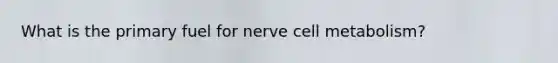 What is the primary fuel for nerve cell metabolism?