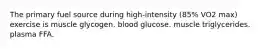 The primary fuel source during high-intensity (85% VO2 max) exercise is muscle glycogen. blood glucose. muscle triglycerides. plasma FFA.