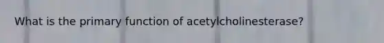 What is the primary function of acetylcholinesterase?