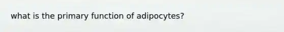 what is the primary function of adipocytes?