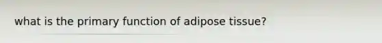 what is the primary function of adipose tissue?