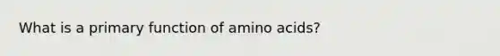 What is a primary function of amino acids?