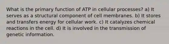 What is the primary function of ATP in cellular processes? a) It serves as a structural component of cell membranes. b) It stores and transfers energy for cellular work. c) It catalyzes chemical reactions in the cell. d) It is involved in the transmission of genetic information.