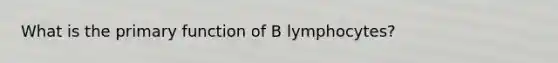 What is the primary function of B lymphocytes?