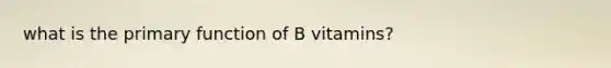 what is the primary function of B vitamins?