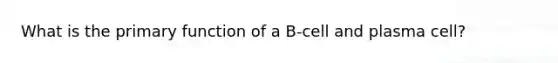 What is the primary function of a B-cell and plasma cell?