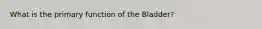 What is the primary function of the Bladder?