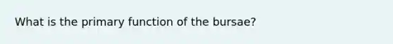 What is the primary function of the bursae?