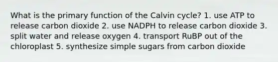 What is the primary function of the Calvin cycle? 1. use ATP to release carbon dioxide 2. use NADPH to release carbon dioxide 3. split water and release oxygen 4. transport RuBP out of the chloroplast 5. synthesize simple sugars from carbon dioxide