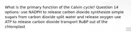 What is the primary function of the Calvin cycle? Question 14 options: use NADPH to release carbon dioxide synthesize simple sugars from carbon dioxide split water and release oxygen use ATP to release carbon dioxide transport RuBP out of the chloroplast