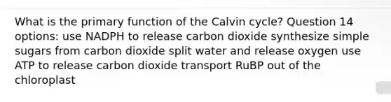 What is the primary function of the Calvin cycle? Question 14 options: use NADPH to release carbon dioxide synthesize simple sugars from carbon dioxide split water and release oxygen use ATP to release carbon dioxide transport RuBP out of the chloroplast