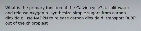 What is the primary function of the Calvin cycle? a. split water and release oxygen b. synthesize simple sugars from carbon dioxide c. use NADPH to release carbon dioxide d. transport RuBP out of the chloroplast