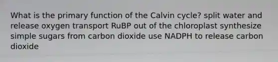 What is the primary function of the Calvin cycle? split water and release oxygen transport RuBP out of the chloroplast synthesize simple sugars from carbon dioxide use NADPH to release carbon dioxide