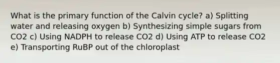 What is the primary function of the Calvin cycle? a) Splitting water and releasing oxygen b) Synthesizing simple sugars from CO2 c) Using NADPH to release CO2 d) Using ATP to release CO2 e) Transporting RuBP out of the chloroplast