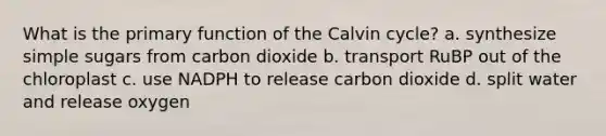 What is the primary function of the Calvin cycle? a. synthesize simple sugars from carbon dioxide b. transport RuBP out of the chloroplast c. use NADPH to release carbon dioxide d. split water and release oxygen