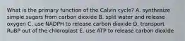 What is the primary function of the Calvin cycle? A. synthesize simple sugars from carbon dioxide B. split water and release oxygen C. use NADPH to release carbon dioxide D. transport RuBP out of the chloroplast E. use ATP to release carbon dioxide