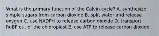 What is the primary function of the Calvin cycle? A. synthesize simple sugars from carbon dioxide B. split water and release oxygen C. use NADPH to release carbon dioxide D. transport RuBP out of the chloroplast E. use ATP to release carbon dioxide