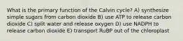 What is the primary function of the Calvin cycle? A) synthesize simple sugars from carbon dioxide B) use ATP to release carbon dioxide C) split water and release oxygen D) use NADPH to release carbon dioxide E) transport RuBP out of the chloroplast