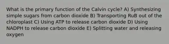 What is the primary function of the Calvin cycle? A) Synthesizing simple sugars from carbon dioxide B) Transporting RuB out of the chloroplast C) Using ATP to release carbon dioxide D) Using NADPH to release carbon dioxide E) Splitting water and releasing oxygen