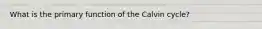 What is the primary function of the Calvin cycle?