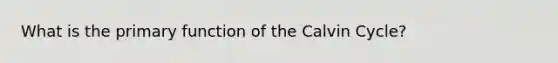 What is the primary function of the Calvin Cycle?