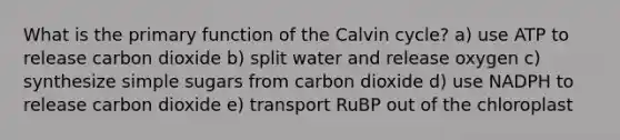 What is the primary function of the Calvin cycle? a) use ATP to release carbon dioxide b) split water and release oxygen c) synthesize simple sugars from carbon dioxide d) use NADPH to release carbon dioxide e) transport RuBP out of the chloroplast