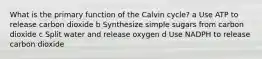 What is the primary function of the Calvin cycle? a Use ATP to release carbon dioxide b Synthesize simple sugars from carbon dioxide c Split water and release oxygen d Use NADPH to release carbon dioxide