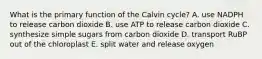 What is the primary function of the Calvin cycle? A. use NADPH to release carbon dioxide B. use ATP to release carbon dioxide C. synthesize simple sugars from carbon dioxide D. transport RuBP out of the chloroplast E. split water and release oxygen